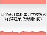 河池环江单招集训学校怎么样(环江单招集训如何)