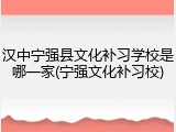 汉中宁强县文化补习学校是哪一家(宁强文化补习校)