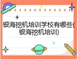 银海挖机培训学校有哪些(银海挖机培训)