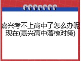 嘉兴考不上高中了怎么办呢现在(嘉兴高中落榜对策)