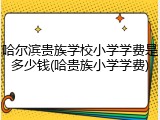 哈尔滨贵族学校小学学费是多少钱(哈贵族小学学费)