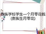 贵族学校学生一个月零花钱(贵族生月零花)