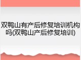 双鸭山有产后修复培训机构吗(双鸭山产后修复培训)