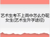 艺术生考不上高中怎么办呢女生(艺术生升学途径)