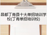 昌都丁青县十大单招培训学校(丁青单招培训校)