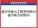 遂宁市电力工程学校照片(遂宁电力校照片)