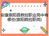 安康紫阳县数控职业高中有哪些(紫阳数控职高)