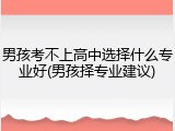 男孩考不上高中选择什么专业好(男孩择专业建议)