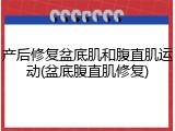 产后修复盆底肌和腹直肌运动(盆底腹直肌修复)
