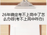 26年确定考不上高中了怎么办呀(考不上高中咋办)
