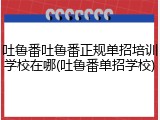 吐鲁番吐鲁番正规单招培训学校在哪(吐鲁番单招学校)