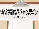 延安洛川县高考艺考生文化课补习班推荐(延安艺考文化补习)
