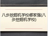八步挖掘机学校哪家强(八步挖掘机学校)