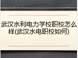 武汉水利电力学校职校怎么样(武汉水电职校如何)