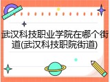 武汉科技职业学院在哪个街道(武汉科技职院街道)
