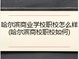 哈尔滨商业学校职校怎么样(哈尔滨商校职校如何)