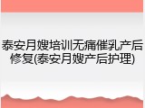 泰安月嫂培训无痛催乳产后修复(泰安月嫂产后护理)