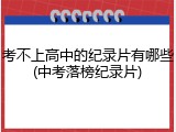 考不上高中的纪录片有哪些(中考落榜纪录片)