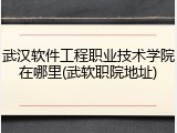 武汉软件工程职业技术学院在哪里(武软职院地址)