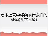 考不上高中将面临什么样的处境(升学困境)