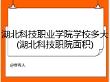 湖北科技职业学院学校多大(湖北科技职院面积)
