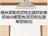 锡林郭勒苏尼特左旗好的单招培训哪里有(苏尼特左旗单招培训)