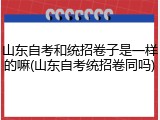 山东自考和统招卷子是一样的嘛(山东自考统招卷同吗)