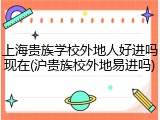 上海贵族学校外地人好进吗现在(沪贵族校外地易进吗)