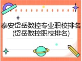 泰安岱岳数控专业职校排名(岱岳数控职校排名)