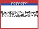 红花岗挖掘机培训学校学费多少(红花岗挖机培训学费)