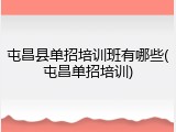 屯昌县单招培训班有哪些(屯昌单招培训)