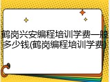 鹤岗兴安编程培训学费一般多少钱(鹤岗编程培训学费)