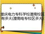 重庆电力专科学校潼南校区有多大(潼南电专校区多大)