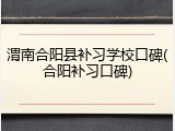渭南合阳县补习学校口碑(合阳补习口碑)