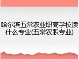 哈尔滨五常农业职高学校读什么专业(五常农职专业)
