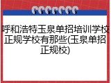 呼和浩特玉泉单招培训学校正规学校有那些(玉泉单招正规校)