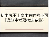 初中考不上高中有啥专业可以选(中考落榜选专业)