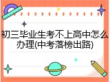 初三毕业生考不上高中怎么办理(中考落榜出路)