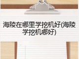 海陵在哪里学挖机好(海陵学挖机哪好)