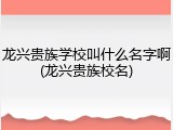 龙兴贵族学校叫什么名字啊(龙兴贵族校名)