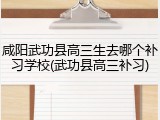 咸阳武功县高三生去哪个补习学校(武功县高三补习)