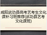 咸阳武功县高考艺考生文化课补习班推荐(武功县艺考文化课班)