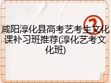 咸阳淳化县高考艺考生文化课补习班推荐(淳化艺考文化班)