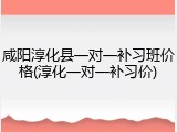 咸阳淳化县一对一补习班价格(淳化一对一补习价)