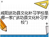 咸阳武功县文化补习学校是哪一家("武功县文化补习学校")