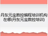 丹东元宝数控编程培训机构在哪(丹东元宝数控培训)