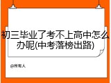 初三毕业了考不上高中怎么办呢(中考落榜出路)