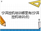宁洱挖机培训哪里有(宁洱挖机培训点)