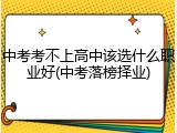 中考考不上高中该选什么职业好(中考落榜择业)