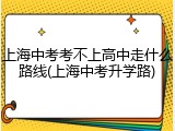 上海中考考不上高中走什么路线(上海中考升学路)